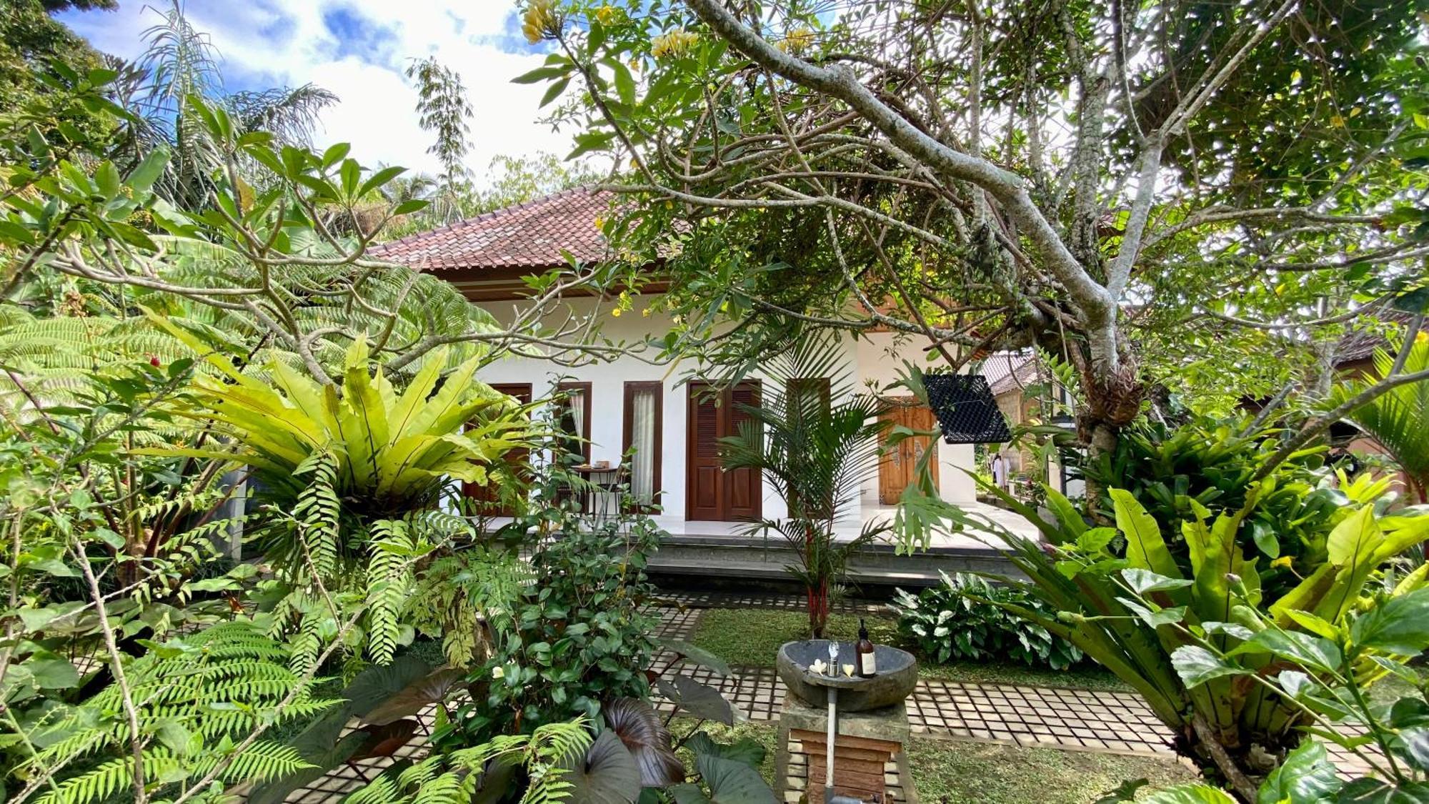 Willow Accommodatie bij particulieren Ubud